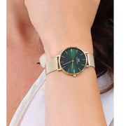 Daniel Wellington Petite Emerald Green Dial Gold Mesh Strap Watch For Women - DW00100481