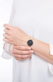 Daniel Wellington Classic Petite Evergold Black Dial Gold Mesh Bracelet Watch For Women - DW00100349