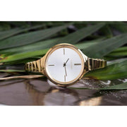 Calvin Klein Lively White Dial Rose Gold Steel Strap Watch for Women - K4U23626