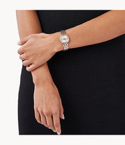 Michael Kors Darci Silver Dial Two Tone Steel Strap Watch for Women - MK3298