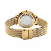 Daniel Wellington Classic Petite Evergold Black Dial Gold Mesh Bracelet Watch For Women - DW00100349