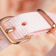 Daniel Wellington Petite Mother of Pearl Pink Dial Pink Nylon Strap Watch For Women - DW00100512