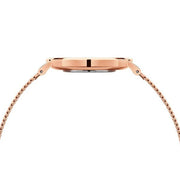 Daniel Wellington Petite Amber Brown Dial Gold Mesh Strap Watch For Women - DW00100476
