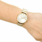 Emporio Armani Retro Gold Dial Gold Mesh Bracelet Watch For Women - AR1957